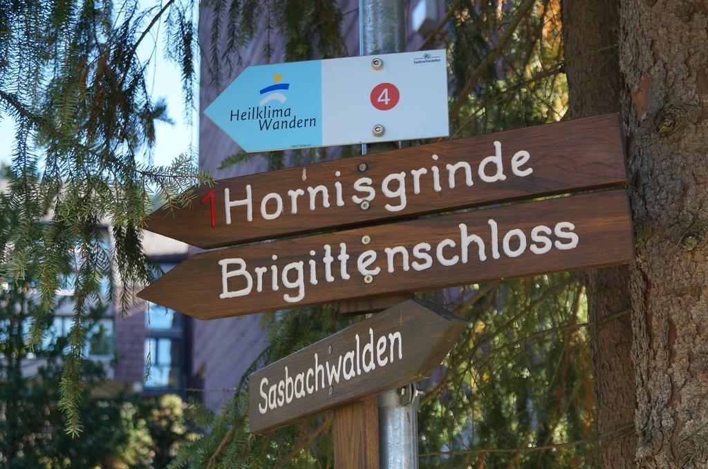 Lejlighed Terrassenpark Sasbachwalden