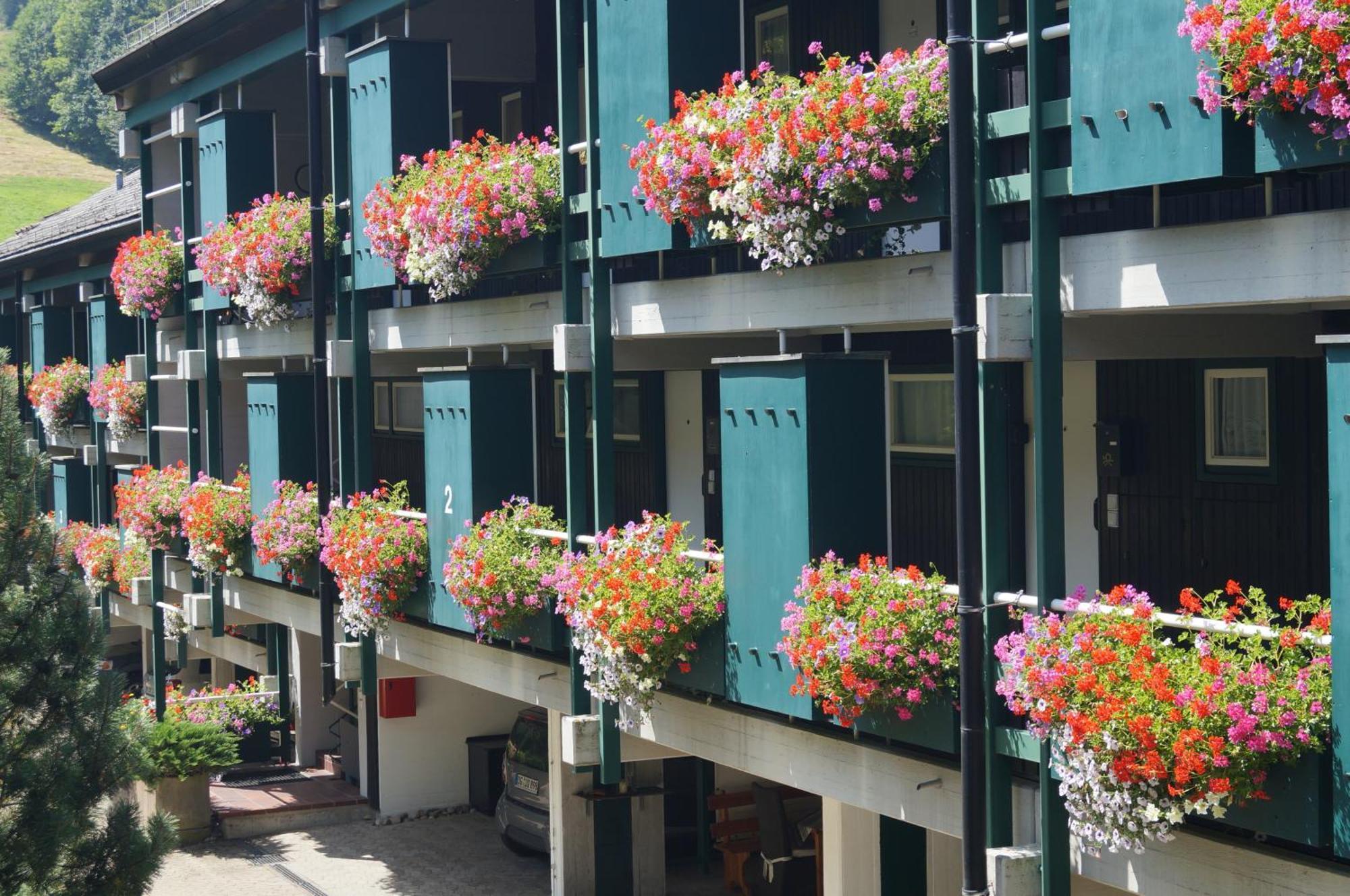 Apartment Terrassenpark *