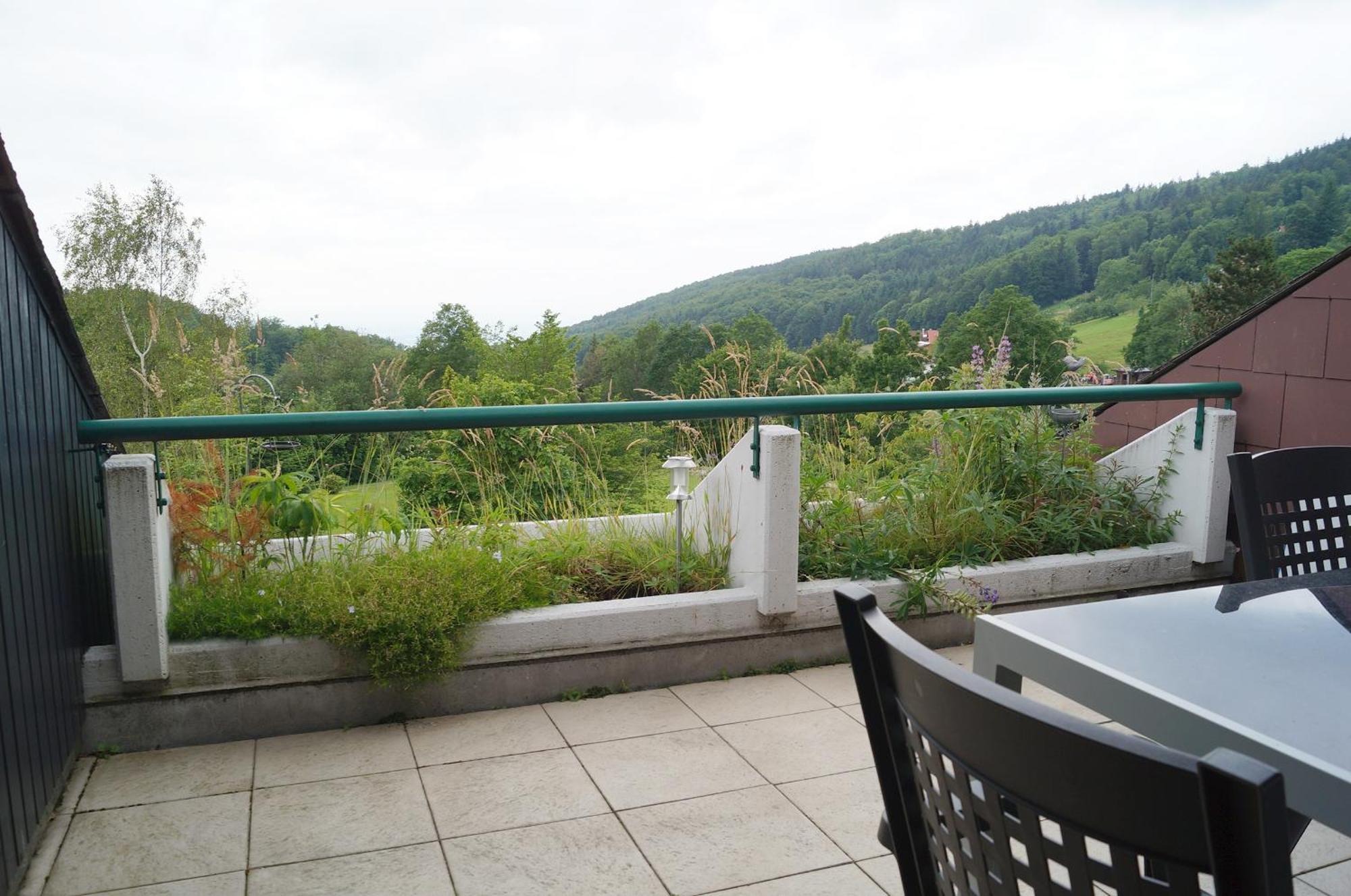 Terrassenpark Sasbachwalden