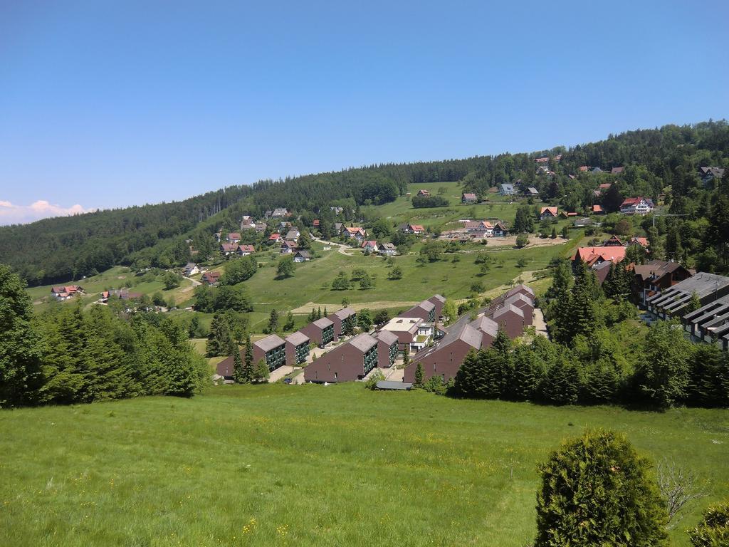 Apartment Terrassenpark Sasbachwalden
