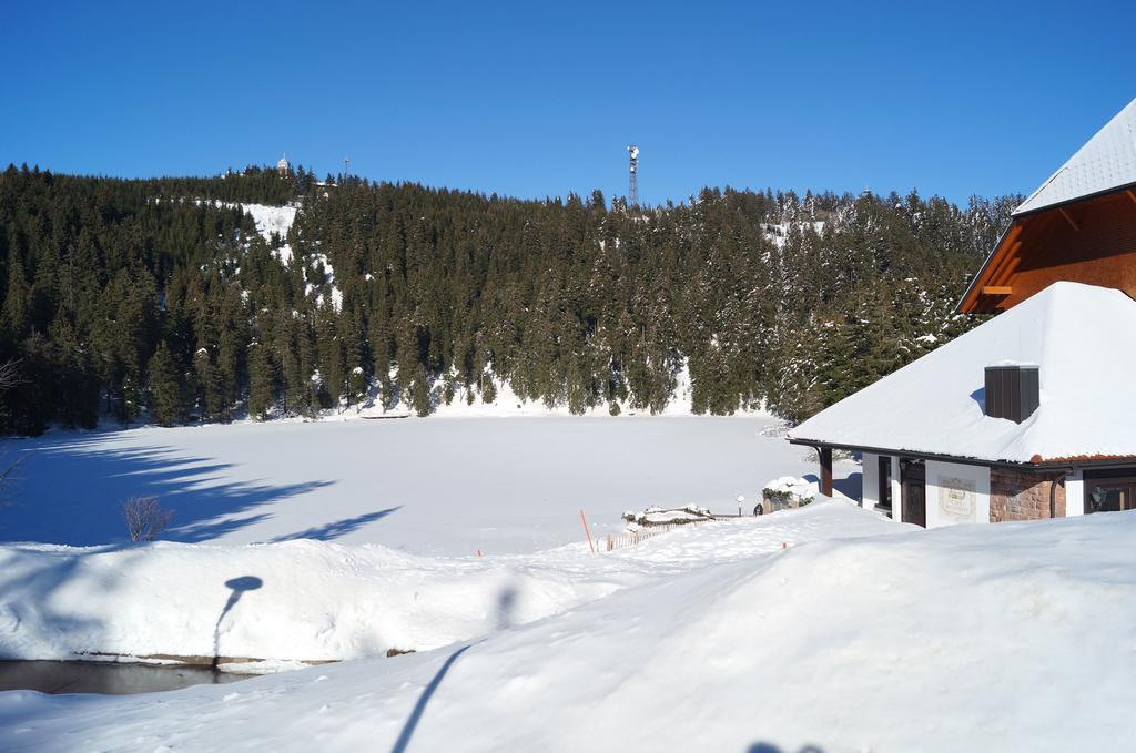 Lejlighed Terrassenpark Sasbachwalden