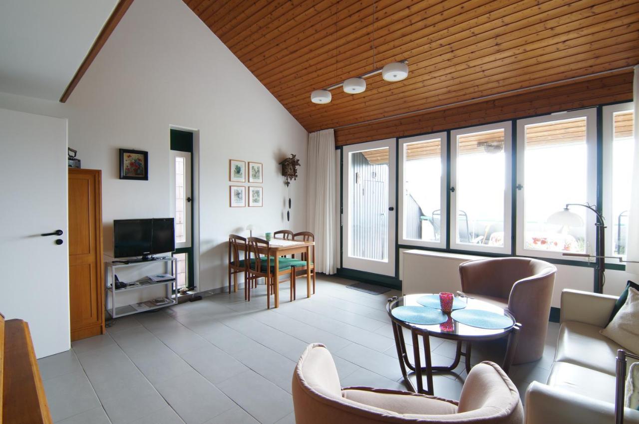 Terrassenpark Apartment Sasbachwalden